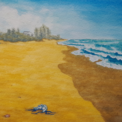 Familiarity pt. II: Moffat Beach. Watercolour on 8.5” x 5.5” paper, 2025. SOLD.